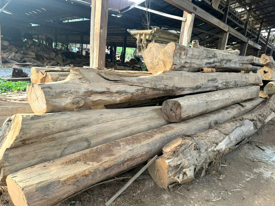 S&agrave;n gỗ Teak tự nhi&ecirc;n L&agrave;o Vinh Nghệ An